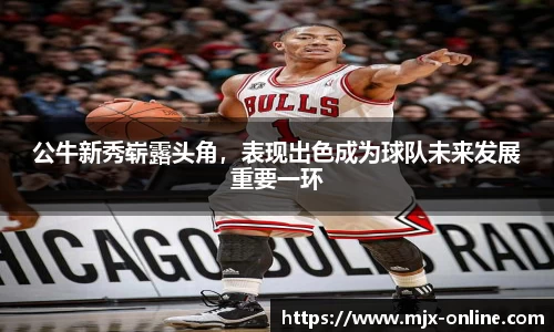 德赢vwin399