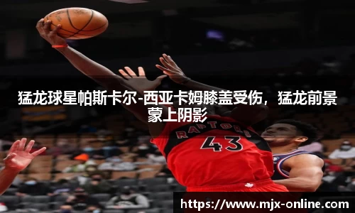 德赢官方