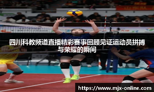 德赢vwin399