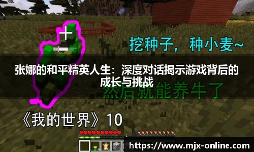 vwin网上官网