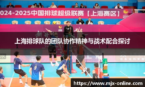 上海排球队的团队协作精神与战术配合探讨
