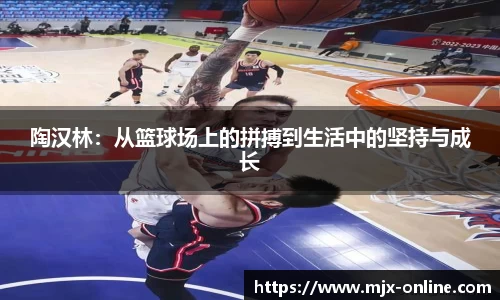 陶汉林：从篮球场上的拼搏到生活中的坚持与成长