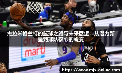 德赢官方