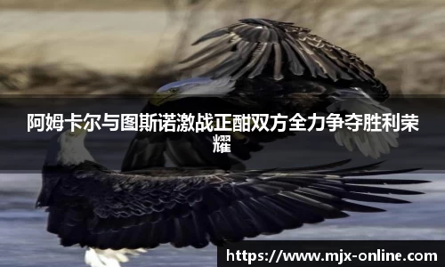 德赢官方